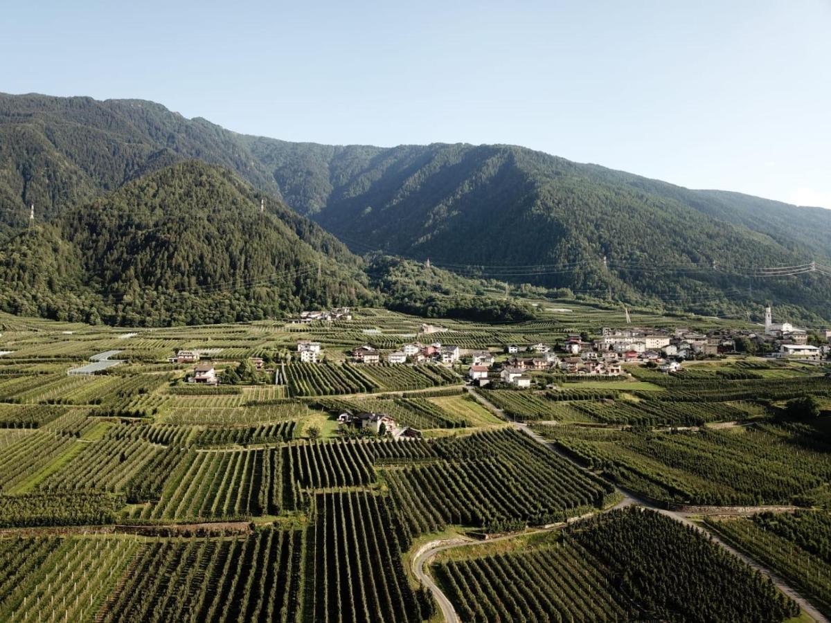Ca' Marchesi Apartments Sernio ภายนอก รูปภาพ